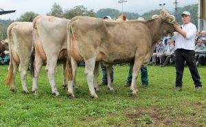 141003Sarnen 021